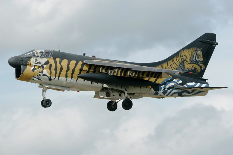 RIAT2007_07.jpg