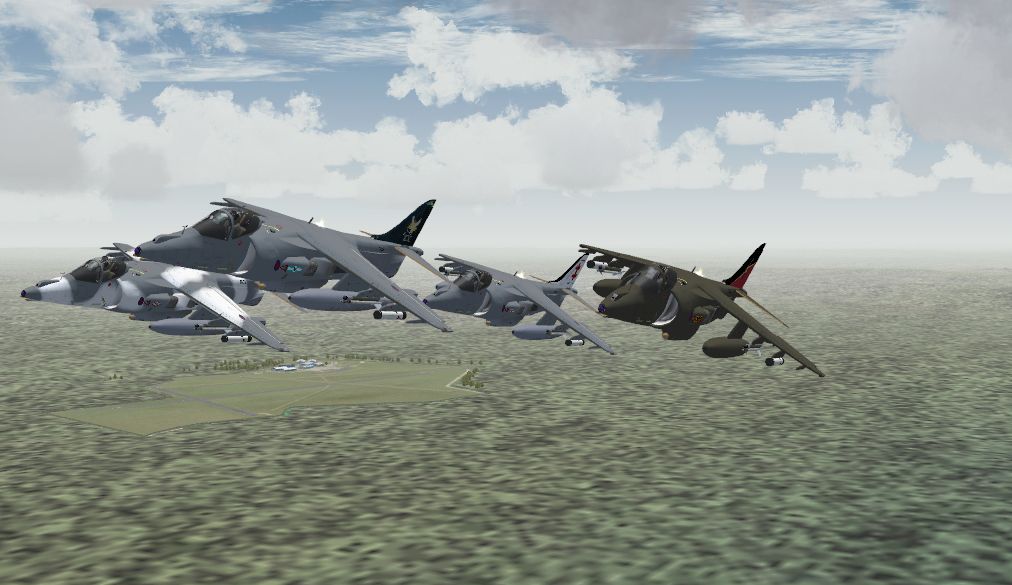 harriers1.jpg