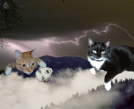 Image hosted by Photobucket.com