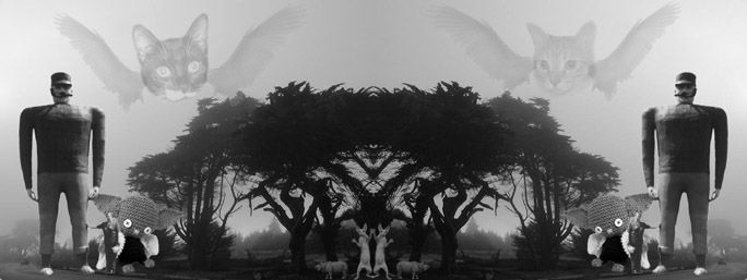 Image hosted by Photobucket.com