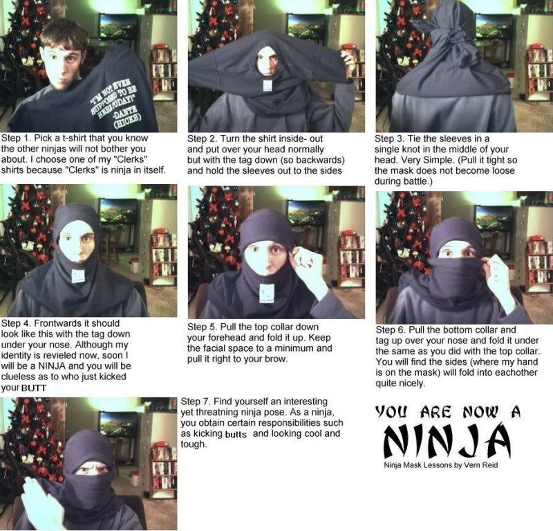 ninjainstruct.jpg