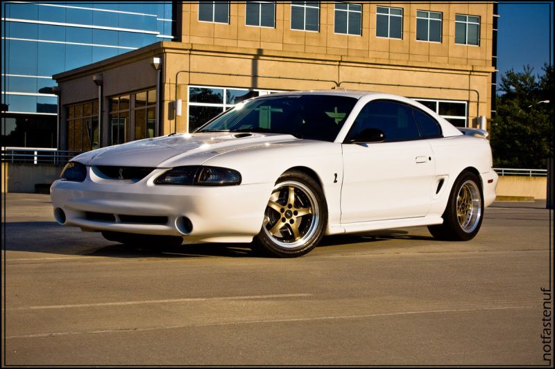 Thread: White SN's with gold wheels?