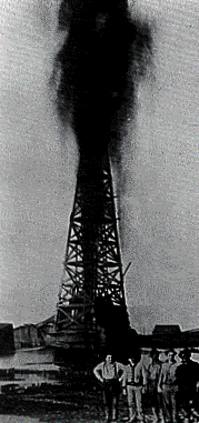 Oil