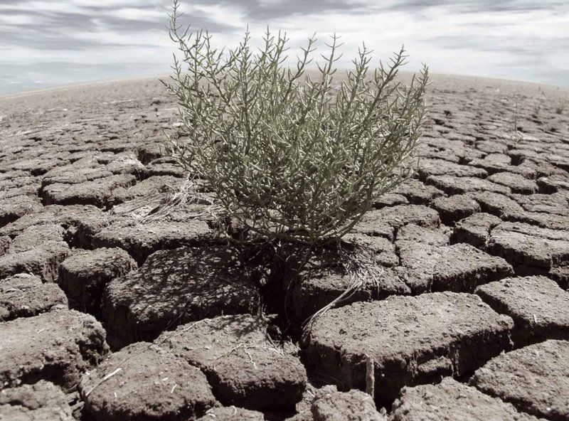 No water