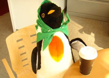 A happy penguin is a caffinated penguin