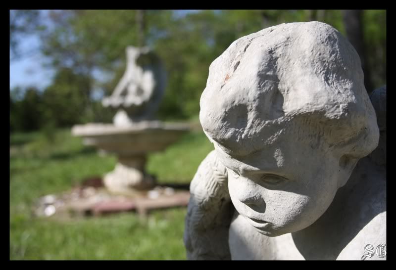 IMAGE: http://i5.photobucket.com/albums/y179/Between_the_buried_and_me/t_discipline.jpg