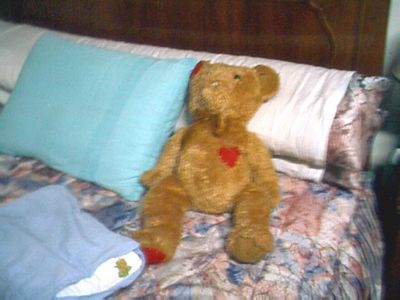 Image hosted by Photobucket.com