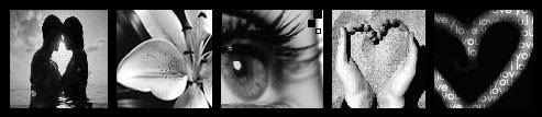 IPB Image