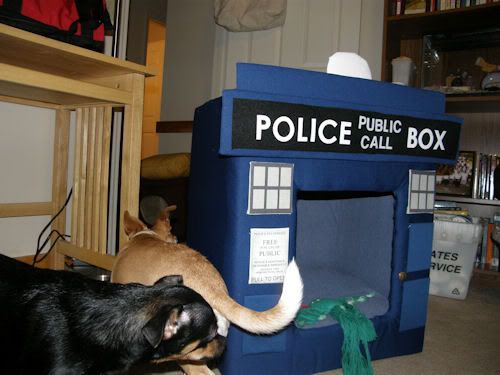 Tardis Bed