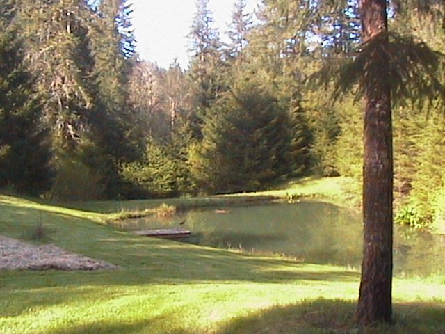 Summer Kitchen - Country Singletree