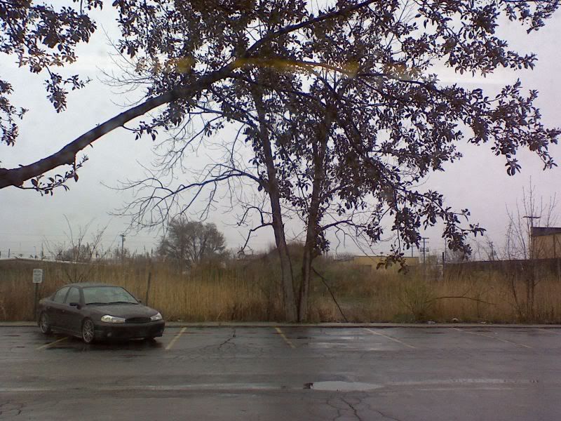 0426071335.jpg