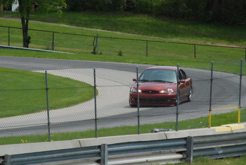 DSC_0174.jpg