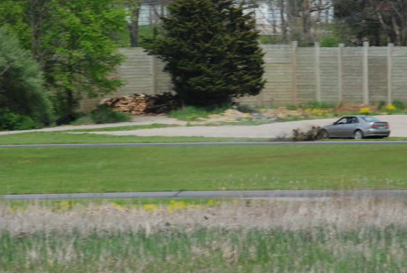 DSC_0184.jpg