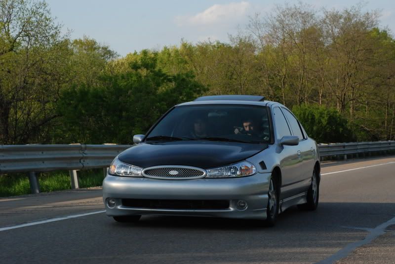 DSC_0246.jpg