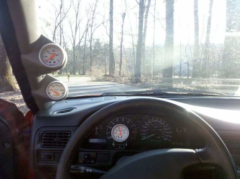 2010-03-30181818.jpg