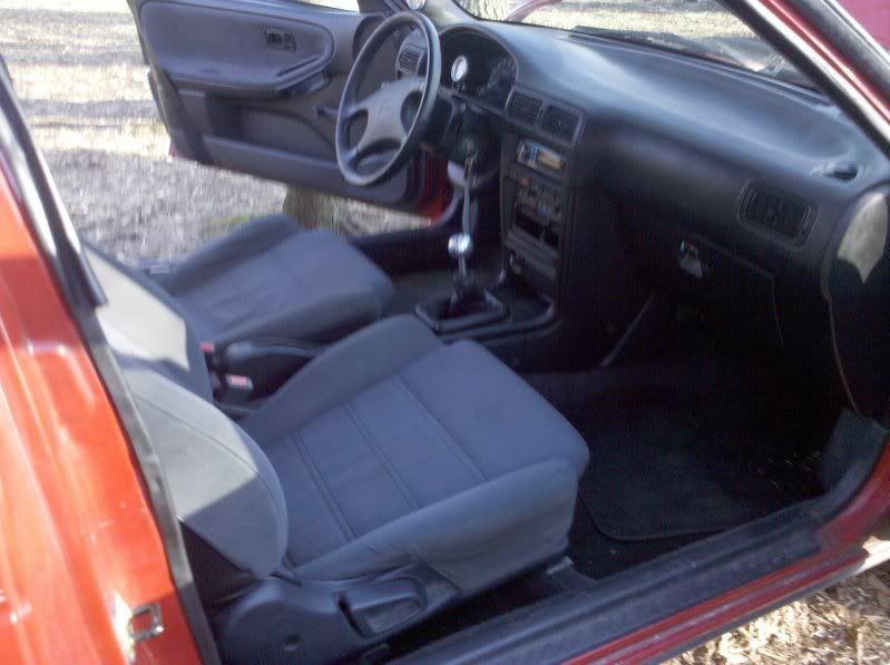 2010-03-30182525.jpg