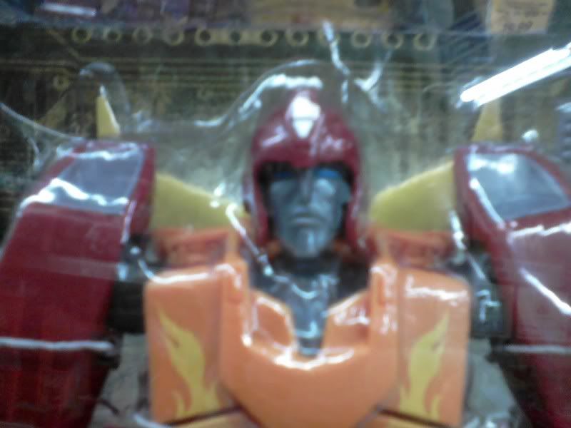 Rodi Face
