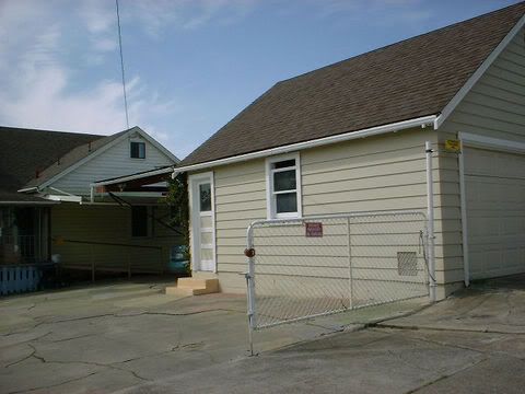 Backyard Hell..before the renovation