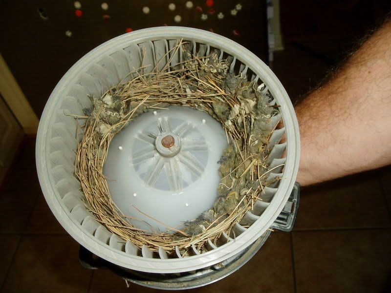 Interior air filter on a 2001 and the fan cleaning - YotaTech Forums Does A 2001 Toyota Tacoma Have A Cabin Air Filter