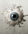 Eyeball.jpg