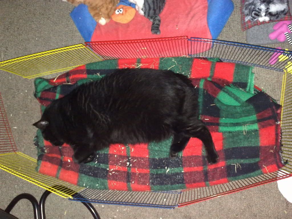 chat dato Hvidovre chat dato Hvidovre