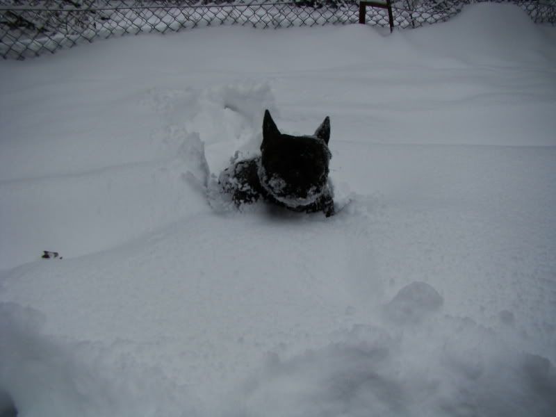 DSC04272.jpg