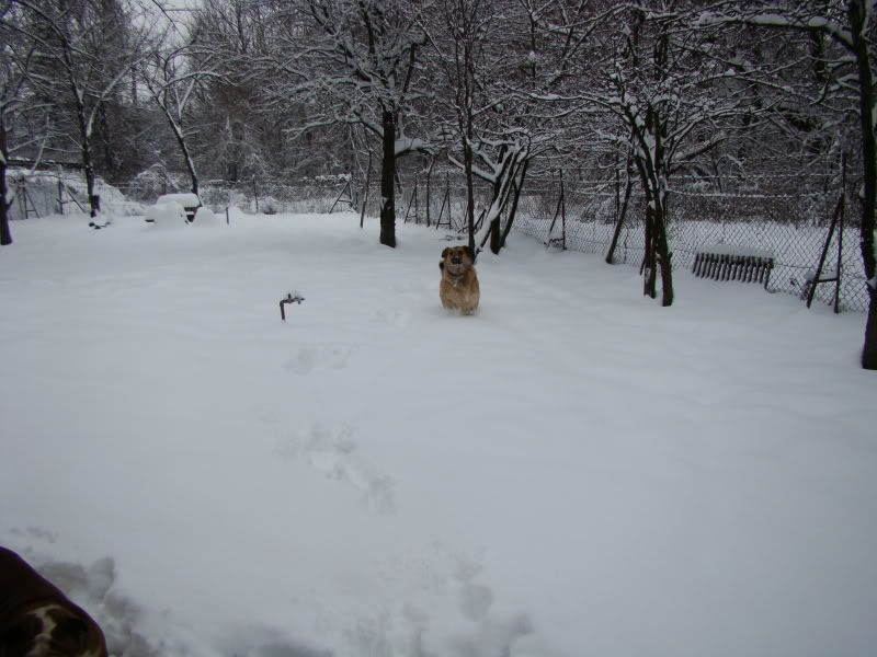 DSC04286.jpg