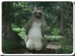 8207-asianballs.gif