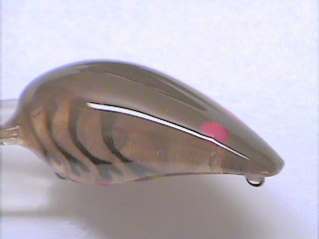 c6c0.jpg