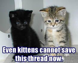 kittensavethread.jpg