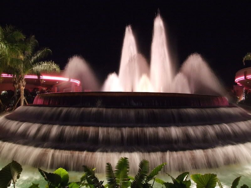 DSCF6303.jpg