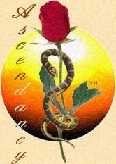 rose & serpent Pictures, Images and Photos