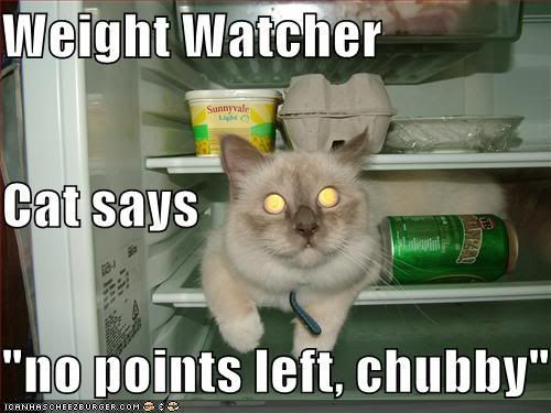 funny-pictures-weight-watcher-cat-f.jpg