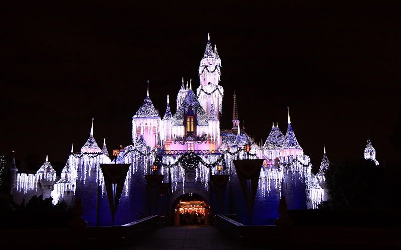 IMAGE: http://i5.photobucket.com/albums/y183/mellofelow/disney-castle1.jpg