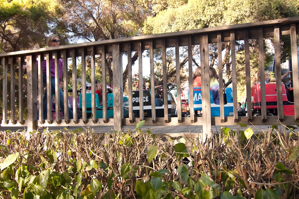 IMAGE: http://i5.photobucket.com/albums/y183/mellofelow/misc/Tokina-116-1.jpg