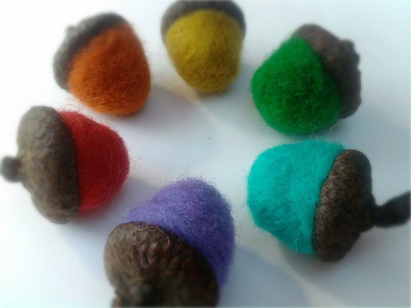 Crunchy Congo Critter Month<br> Rainbow Wooly Acorns<br> Scented