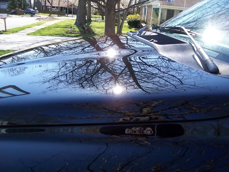 AutObsessionsDetailing2207.jpg