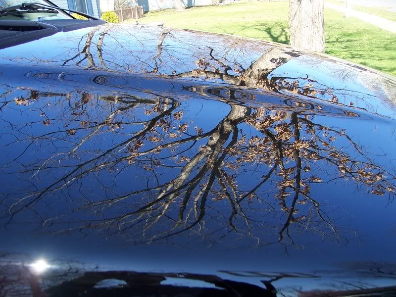 AutObsessionsDetailing2219.jpg