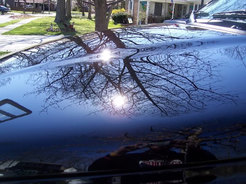 AutObsessionsDetailing2220.jpg
