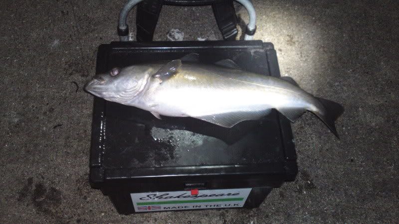 20112011644.jpg