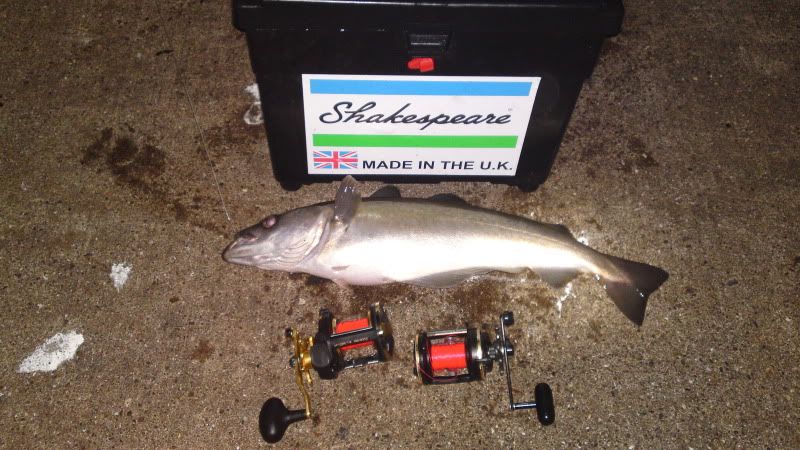 20112011645.jpg