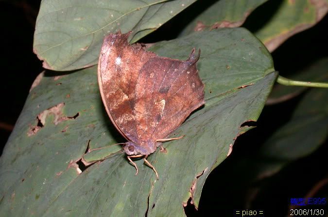 Image hosting by Photobucket