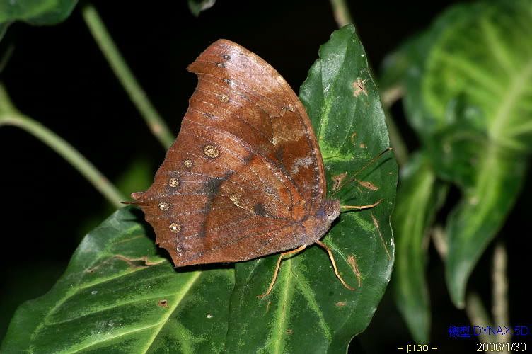 Image hosting by Photobucket