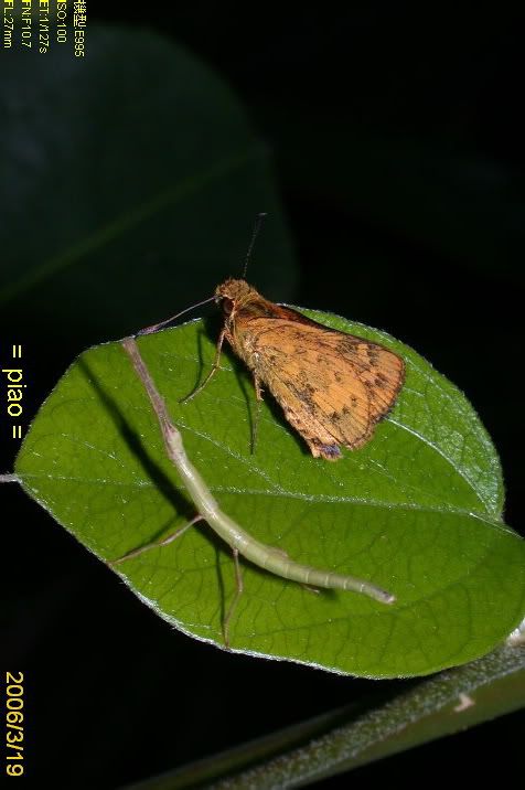 Image hosting by Photobucket