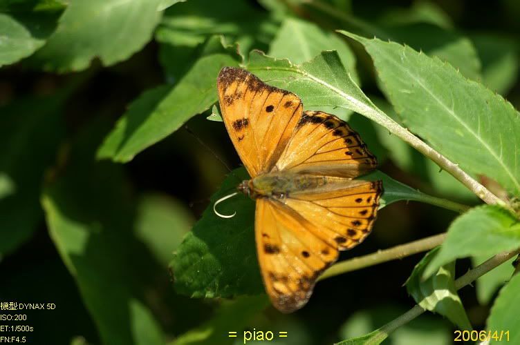 Image hosting by Photobucket