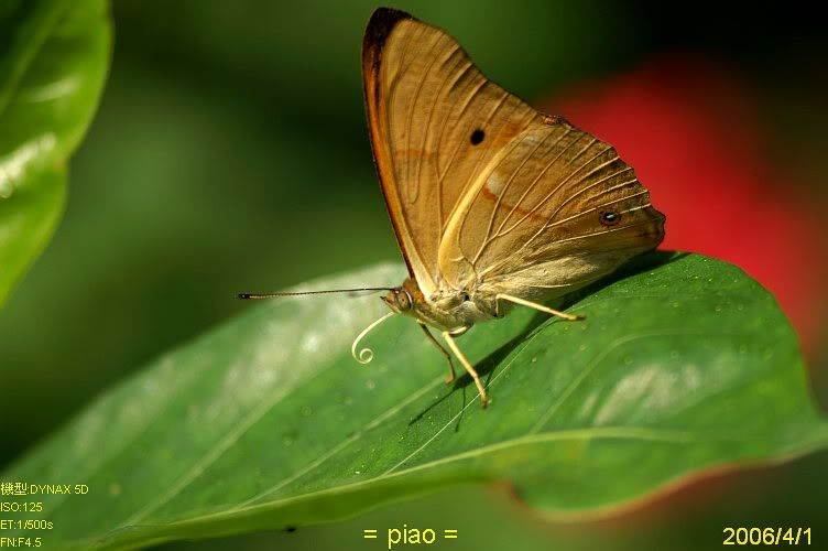 Image hosting by Photobucket