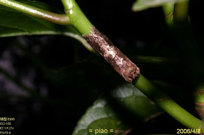 Image hosting by Photobucket