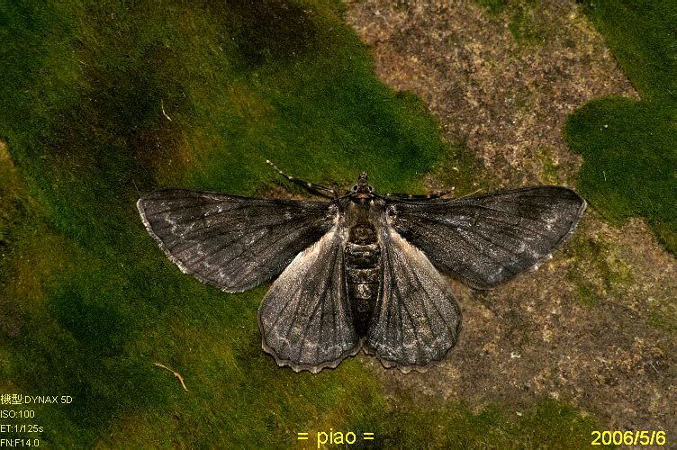 Image hosting by Photobucket