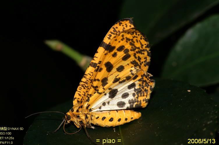 Image hosting by Photobucket