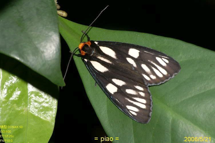 Image hosting by Photobucket